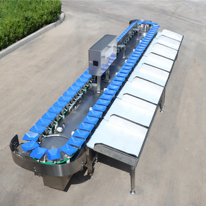 Shrimp/fishes sorting machine,sea cucumber/Abalone weight grading /grader machine