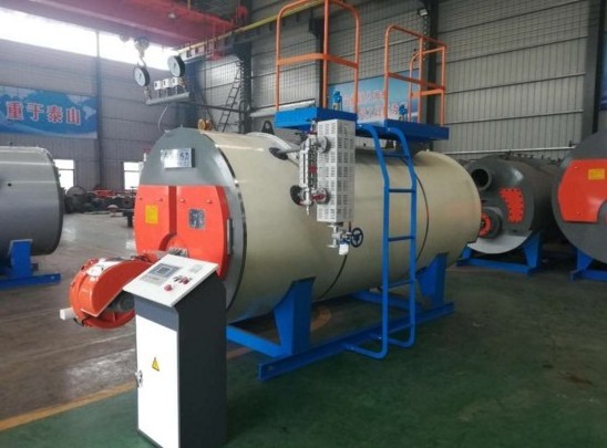 Small wood biomass coal fired hot water steam boiler