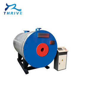 Small wood biomass coal fired hot water steam boiler