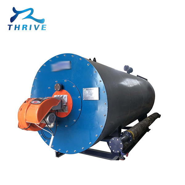 Small wood biomass coal fired hot water steam boiler