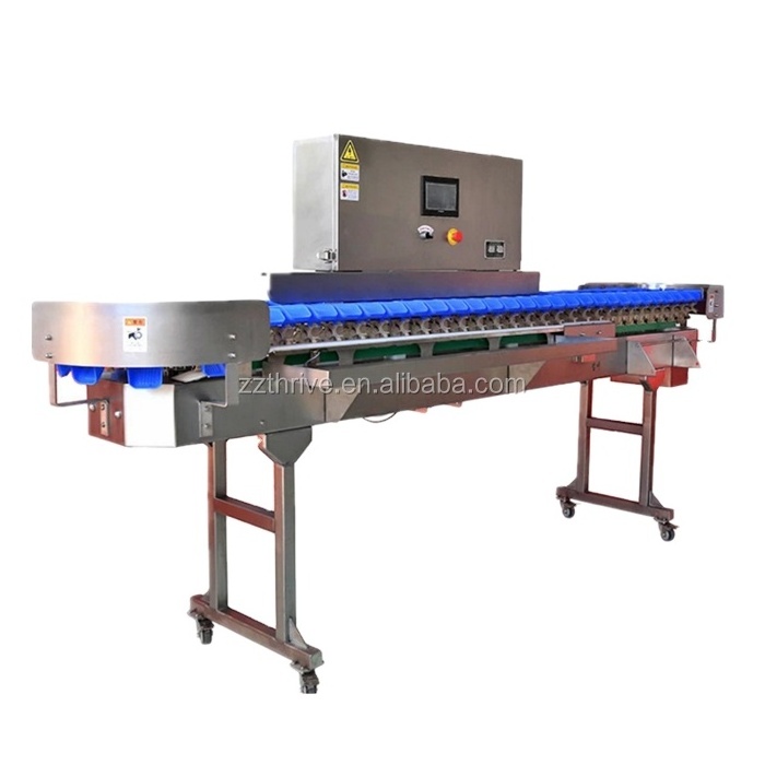 Food factory cheap seafood stainless steel price sorting table/fish cleaning machine