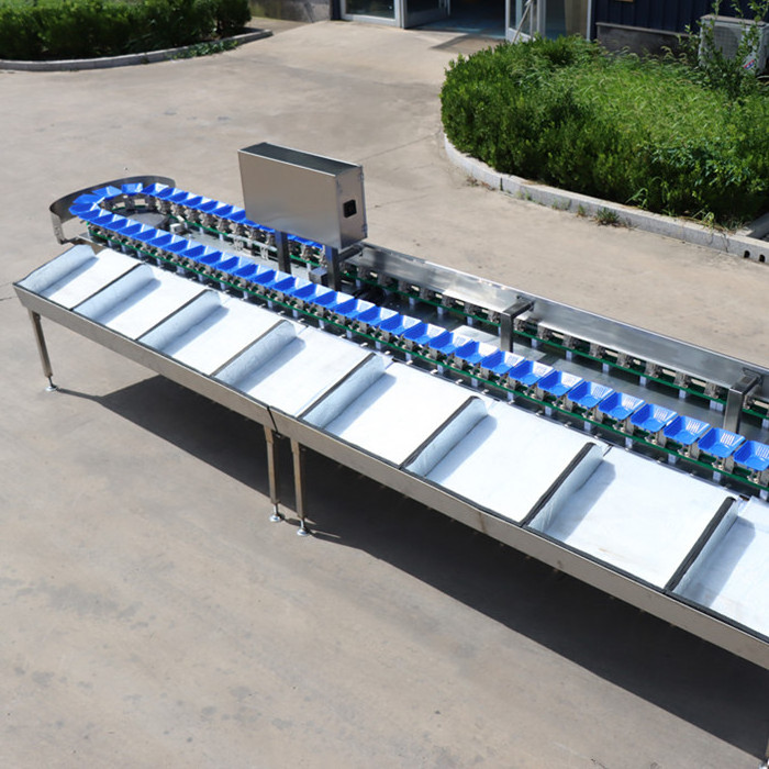 Food factory cheap seafood stainless steel price sorting table/fish cleaning machine