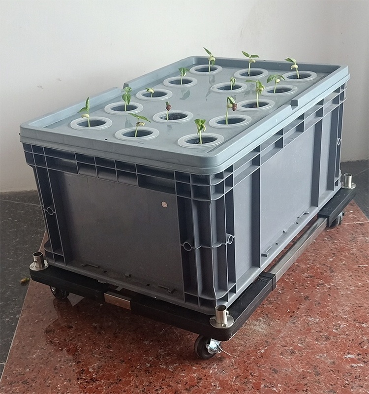 Hydroponic Planting System Low Cost Hydroponic Deep Water Culture System Aeroponics Tray Growing System