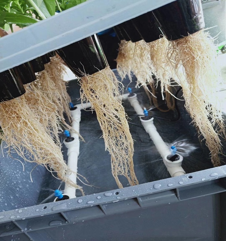 Hydroponic Planting System Low Cost Hydroponic Deep Water Culture System Aeroponics Tray Growing System