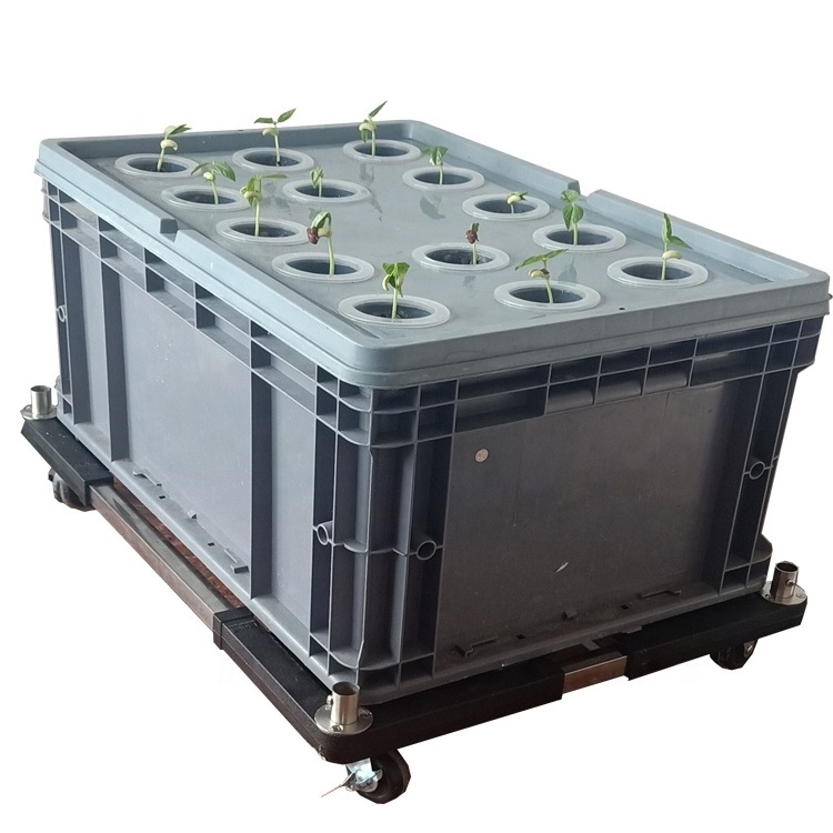 Hydroponic Planting System Low Cost Hydroponic Deep Water Culture System Aeroponics Tray Growing System