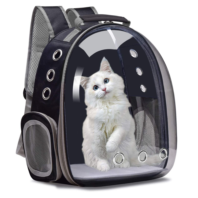 Bubble Carrying Bag Small Dog Small Medium Space Capsule Pet Carrier Hiking Airline Approved Travel Cat Backpack Carrier