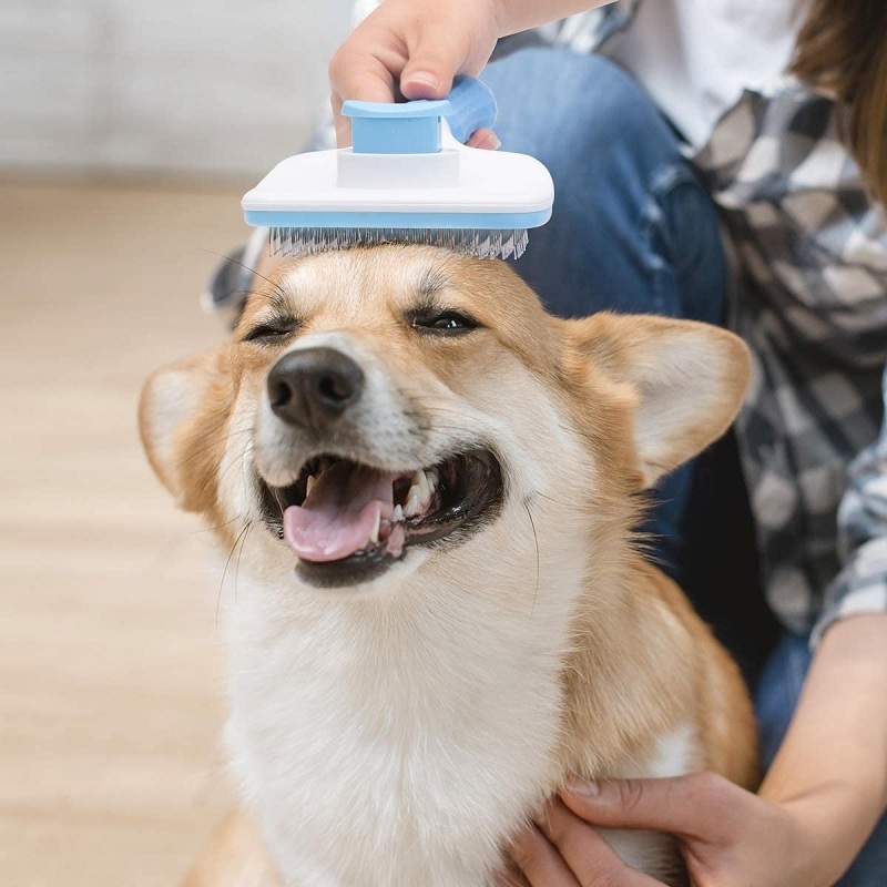 Dog and Cat Removes Undercoat Tangled Hair Massages Particle Animal Comb Improves Circulation Self Cleaning Slicker Brushes