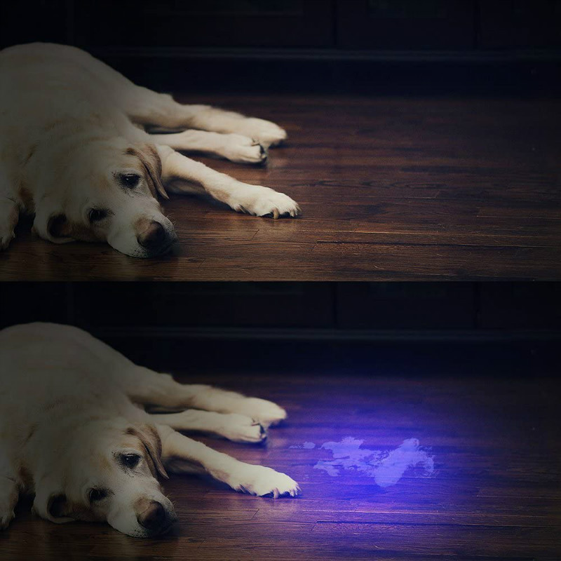 Pet Odor Eliminatornator Black Light 51 LED UV Light Detector for Dog Cat Urine Dry Stains Bed Bug UV Flashlight