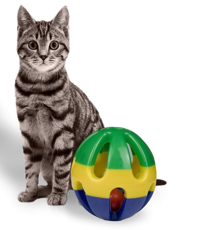 Kitten Jingle Bell Plastic Indoor Outdoor Interactive Rolling Cat Balls Toy With Bell