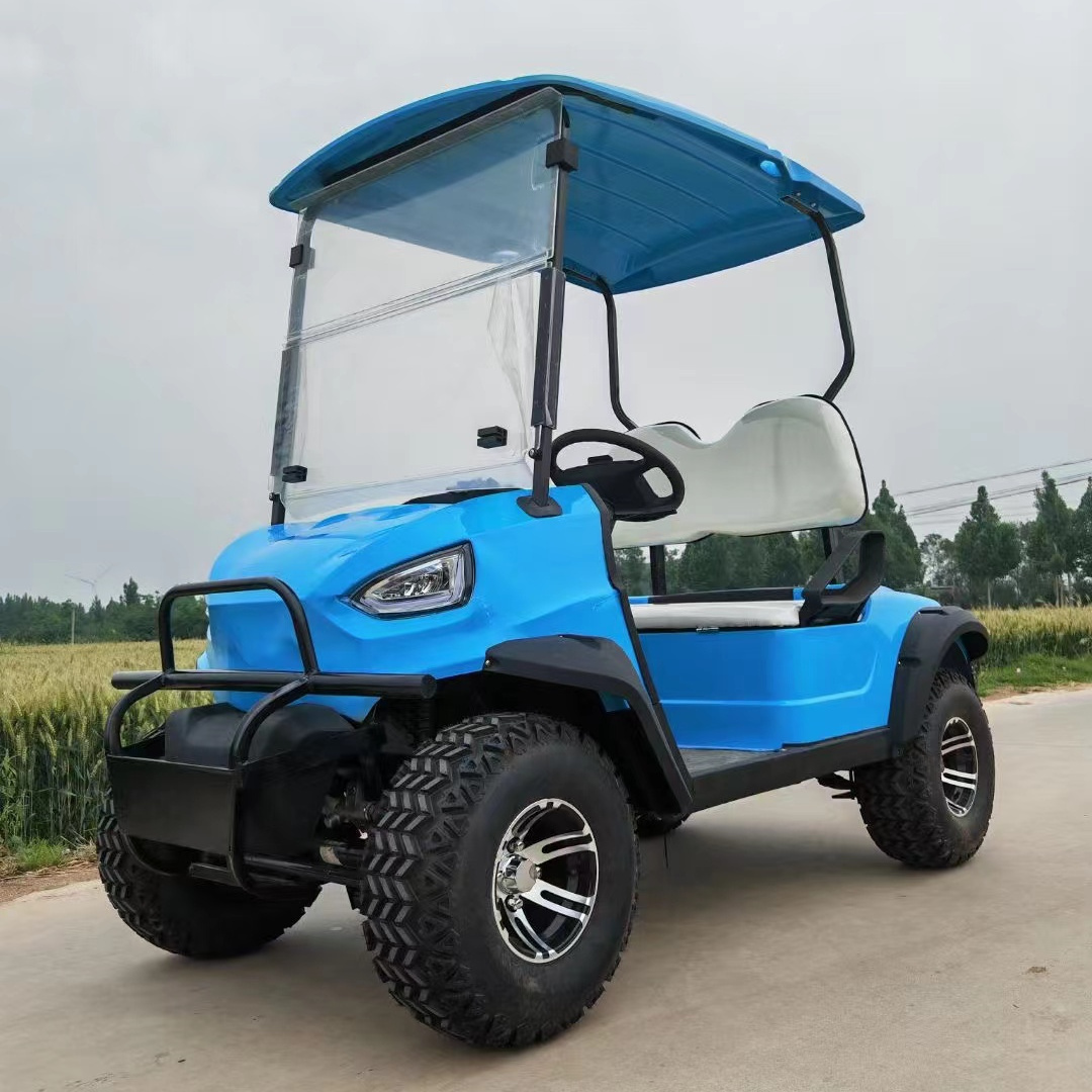 2 seater 4 wheel drive mini gas powered golf cart for sale