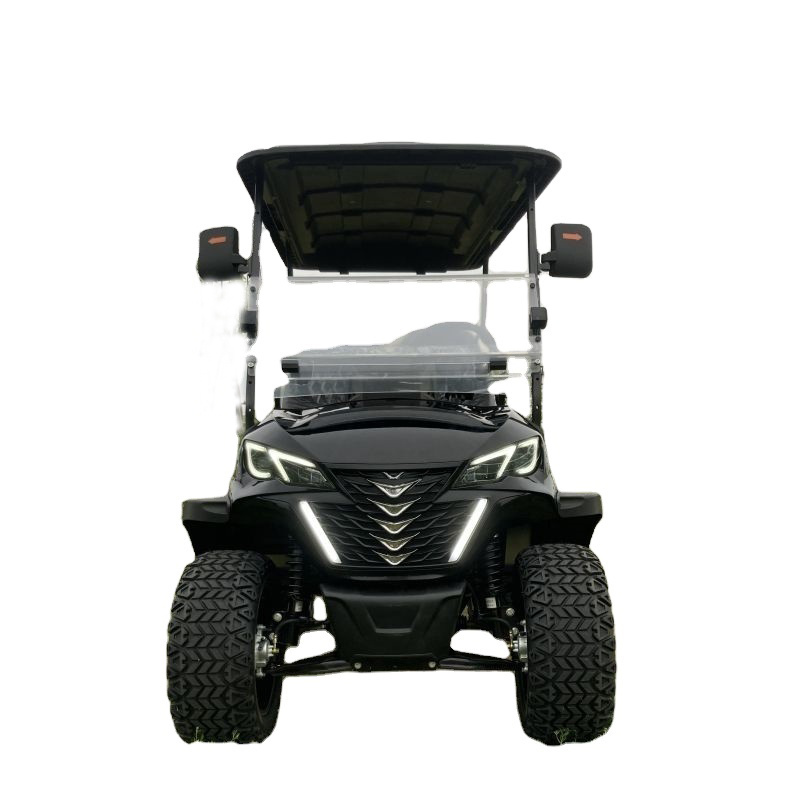 Gas Drive Gas Powered 2 4 6 8 Seater Gasoline off-Road Golf Cart