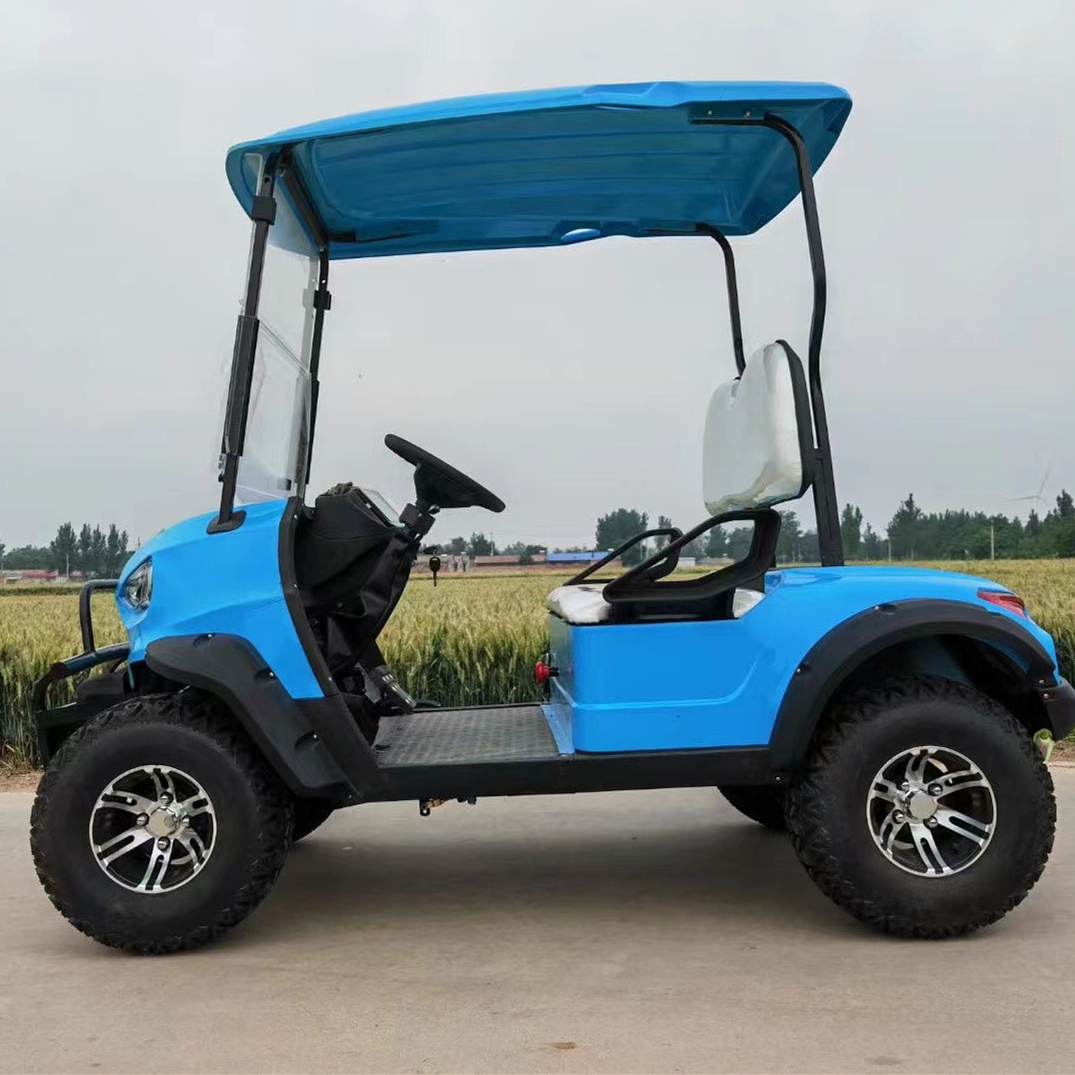 2 seater 4 wheel drive mini gas powered golf cart for sale