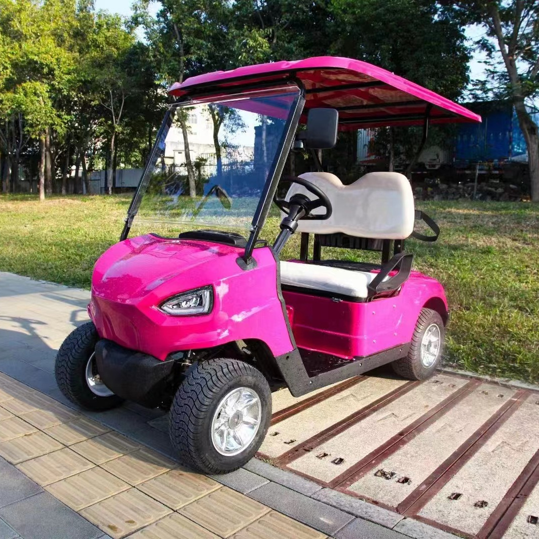 2 seater 4 wheel drive mini gas powered golf cart for sale