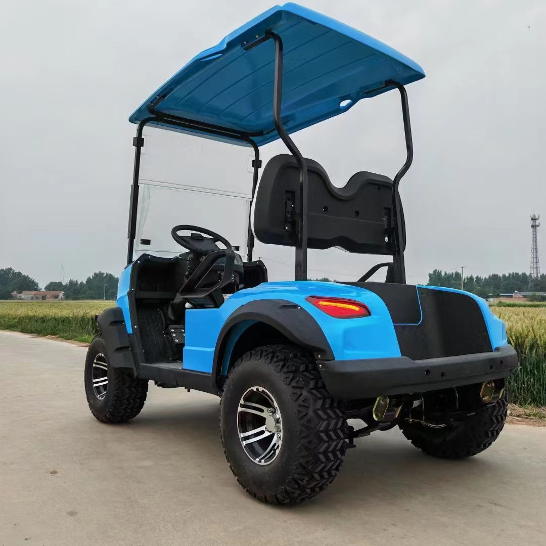 2 seater 4 wheel drive mini gas powered golf cart for sale