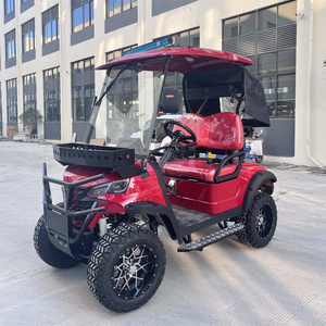 4X4 2 seater Golf Carts Ready for Delivery Golf Carts Gas Powered American