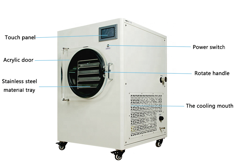 Factory price lab home use freeze dryer machine lyophilizer freeze dried fruit machine house hold freeze dryer