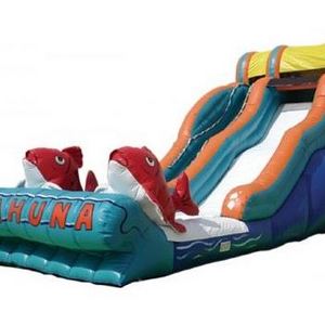 Commercial Big kahuna inflatable Water slides for backyard garden