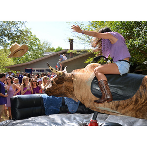 Crazy Bull Ride Machine,Bull Riding Machine For Sale,Hot Sale Inflatable Mechanical Bull