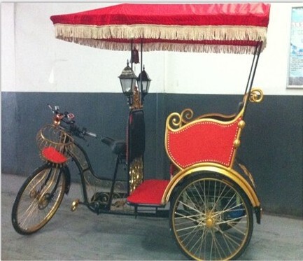 electric auto battery hybrid bike rickshaw for 2 passenger