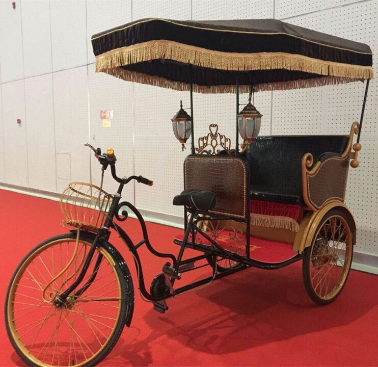 battery rickshaw bike for 2 passenger