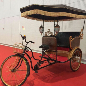 battery rickshaw bike for 2 passenger