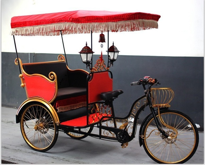 electric auto battery hybrid bike rickshaw for 2 passenger