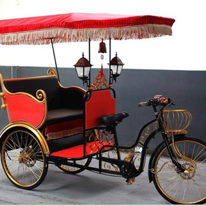 electric auto battery hybrid bike rickshaw for 2 passenger