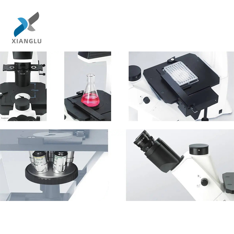 XIANGLU Fluorescent microscope dark field microscope wet lab microscope