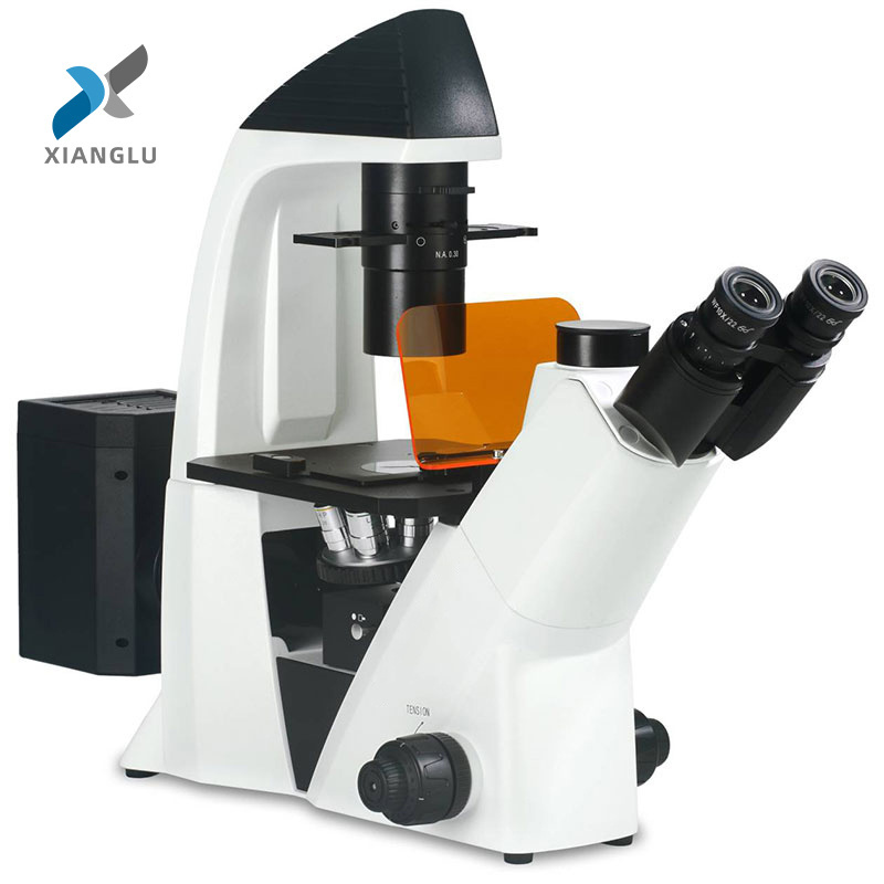 XIANGLU Fluorescent microscope dark field microscope wet lab microscope