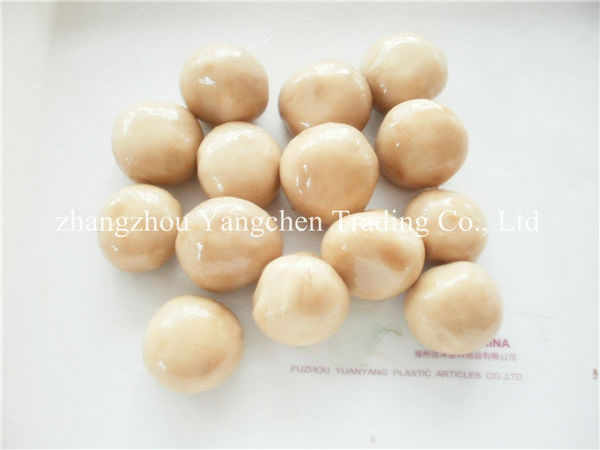 Mushroom importer of canned mushrooms organic white button mushroom