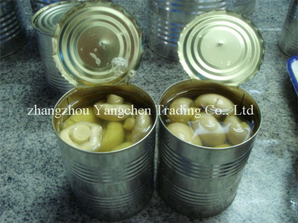 Mushroom importer of canned mushrooms organic white button mushroom