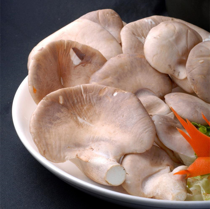 best selling products canned abalone mushroom