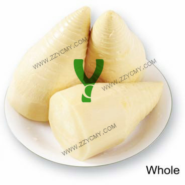 Fresh bamboo shoots slice Malaysia