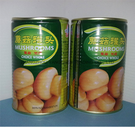 Cannd food of fresh mushroom canned whole button mushroom