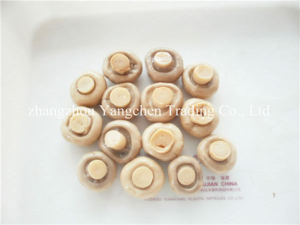 Mushroom importer of canned mushrooms organic white button mushroom