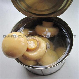 Cannd food of fresh mushroom canned whole button mushroom