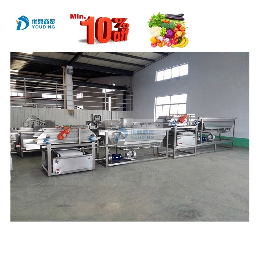 Whole dried fruits processing line automatic dried apple processing plant