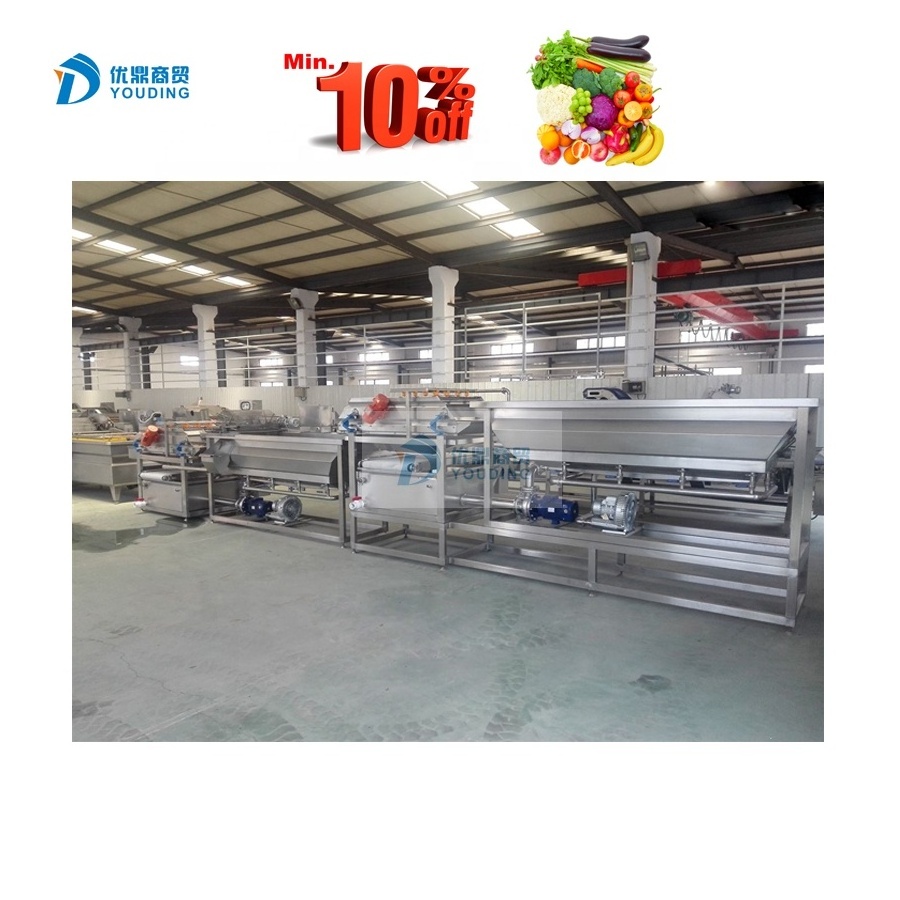 Whole dried fruits processing line automatic dried apple processing plant