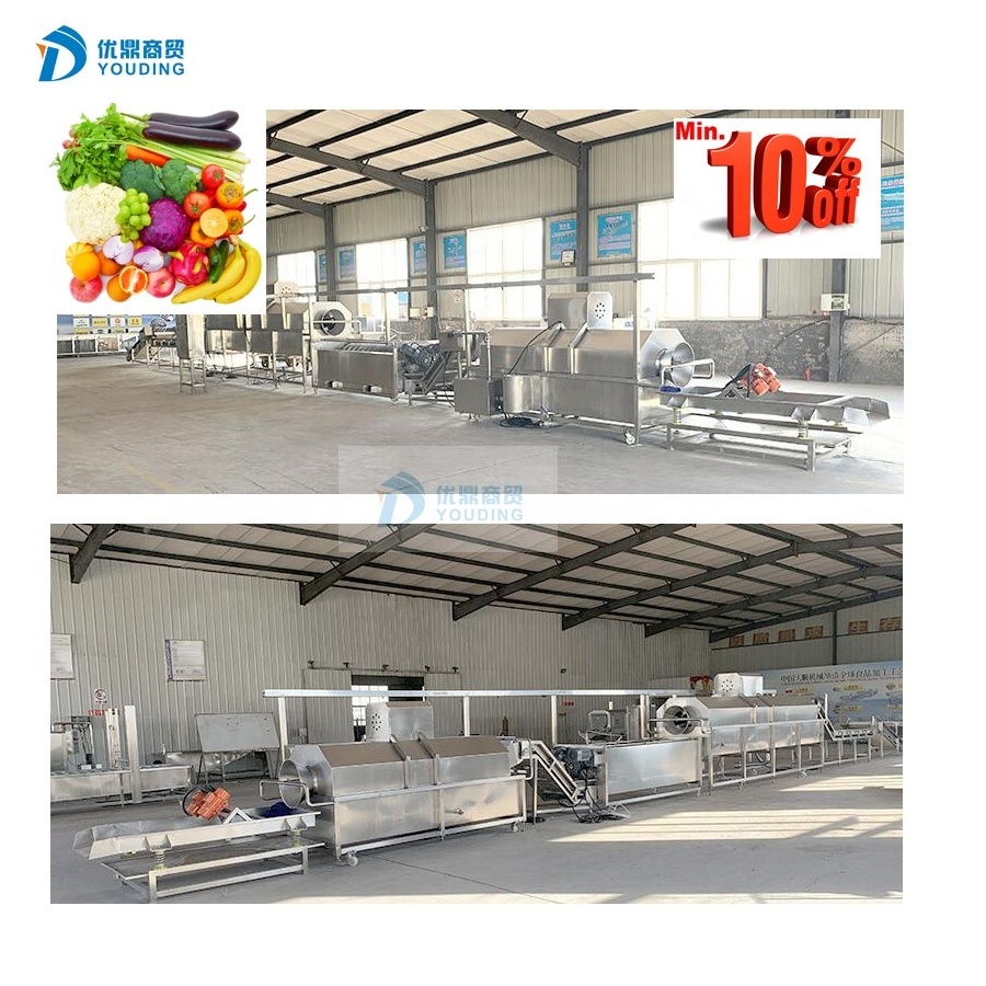 Whole dried fruits processing line automatic dried apple processing plant