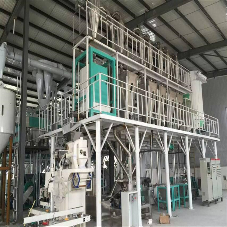 Grade 1 Sifted Mini Solar Powered Maize Miller Per Day 60 Tons 10 Tpd Wheat Flour Milling Machine