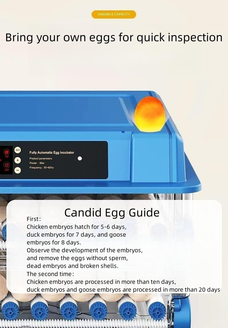 Pull-out Intelligent Incubator 500 Eggs Hatching Machinedual Power Supply 220V/110V/12V Chicken Hatchery Automatic Egg Turning