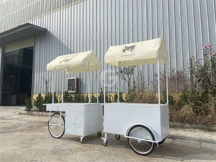 Customized Food Cart Stand Hand Push Mini Cart with Wheels and Canvas