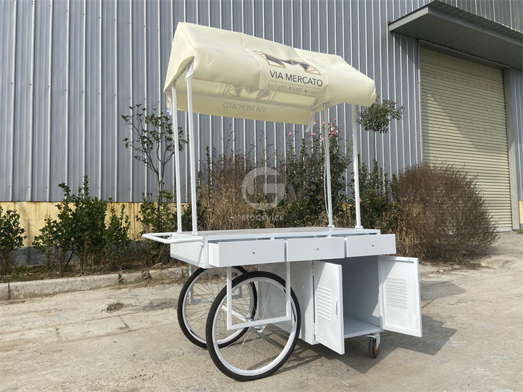 Customized Food Cart Stand Hand Push Mini Cart with Wheels and Canvas