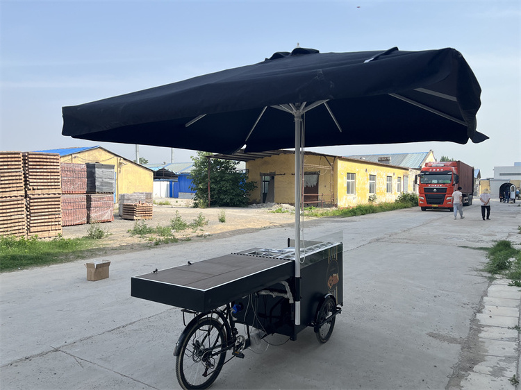 Street Food Carts Mobile Fast Food Tricycle Cart Electrical Beer Bicycle