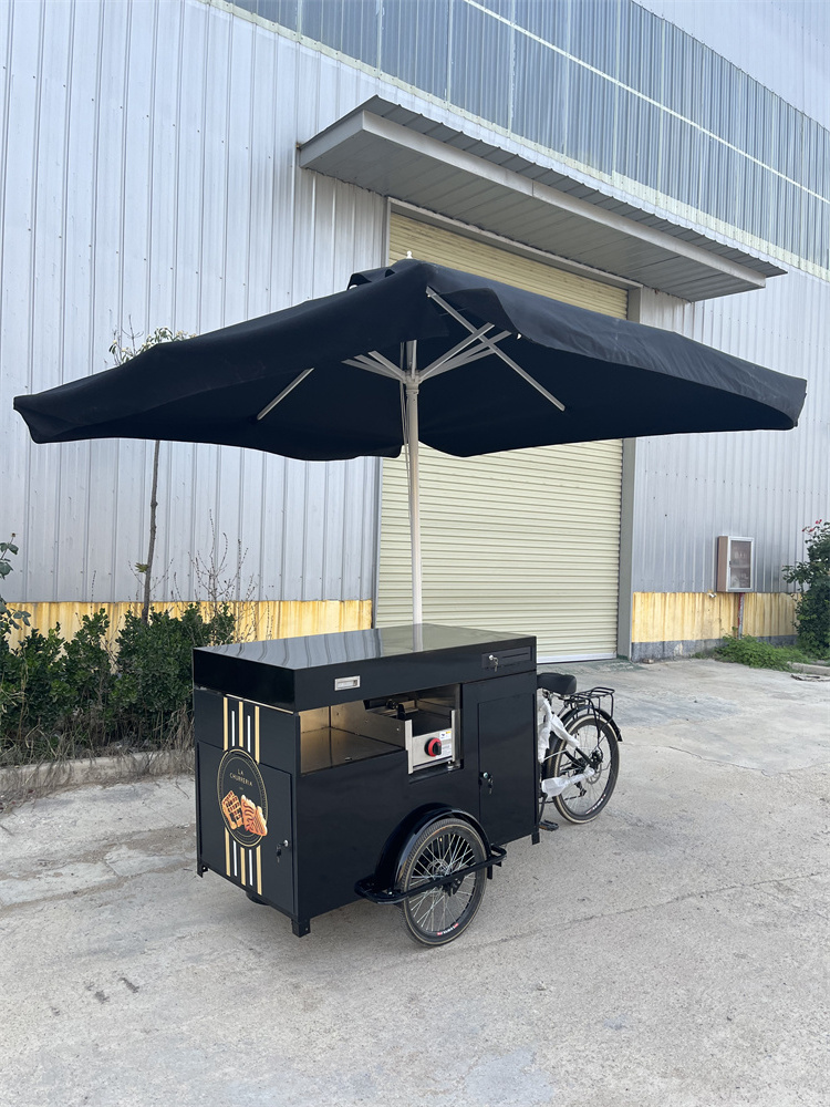 Street sale food cart hot dog bike with refrigerator electric tricycle for outdoor business