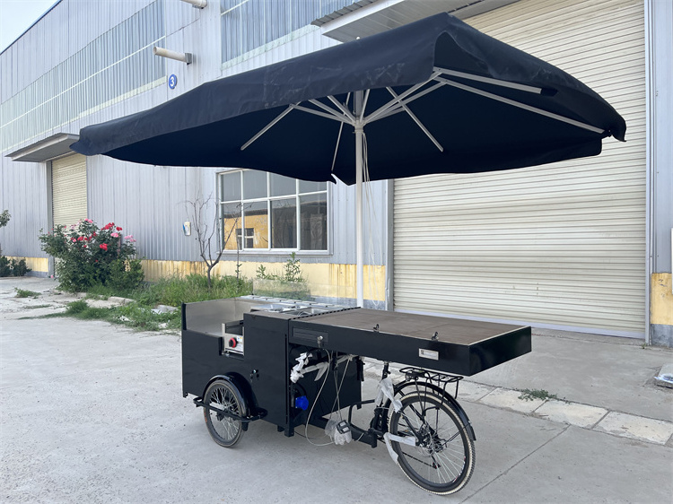 Street sale food cart hot dog bike with refrigerator electric tricycle for outdoor business