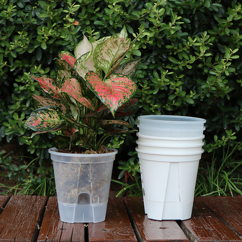 Wholesale Clear Nursery Self Watering Planter Orchid PP Plastic Flower Clear Pots for Plants