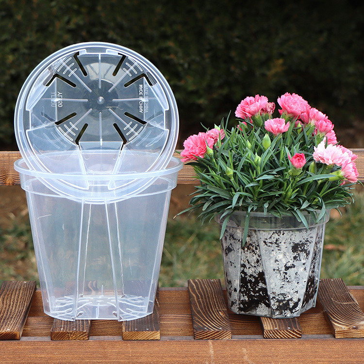 2022 Hot Sale Transparent Nursery Butterfly Clear Plant Flower Planter Hard Plastic Orchid Pot with Holes