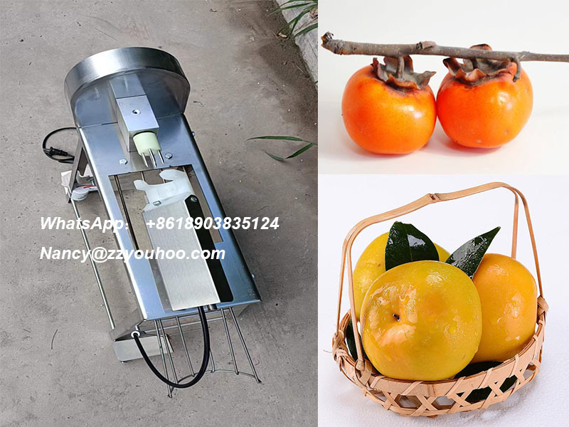 Electric persimmon pulp processing machine persimmon skin peeler peeling machine price