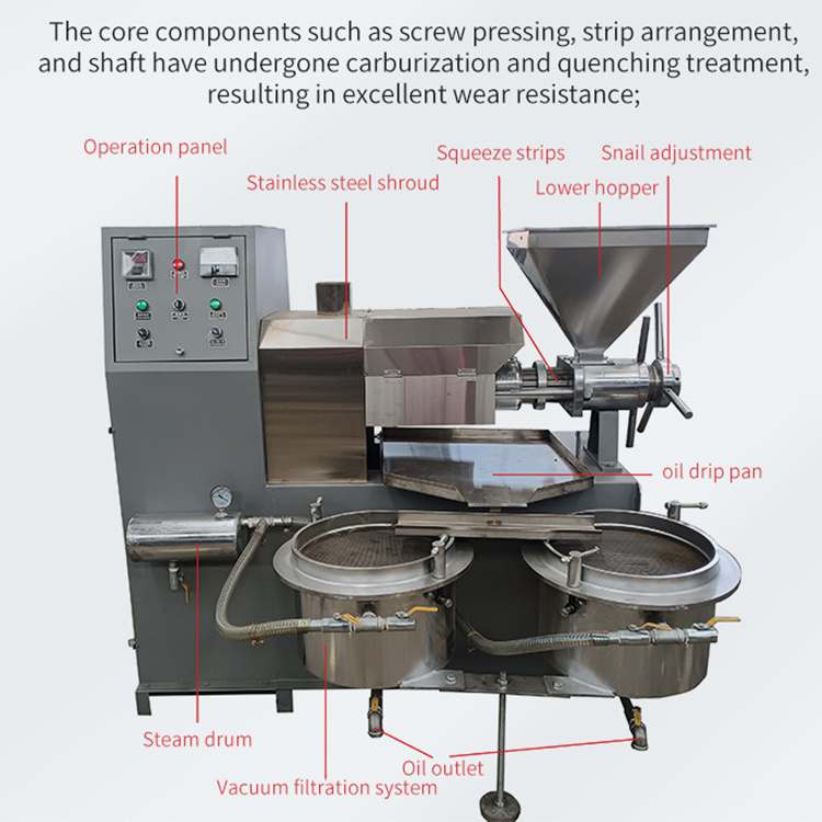 Coconut Caster Professional Olive Cold Press Manufacture To Corn Cook Oil Make Machine For Industrial